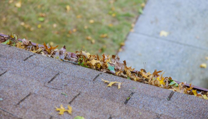 A close-up of autumn leaves piled along the edge of a shingled roof, with a blurred sidewalk and grass in the background.